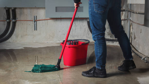 Best Water damage restoration near me  in Hillcrest, NY