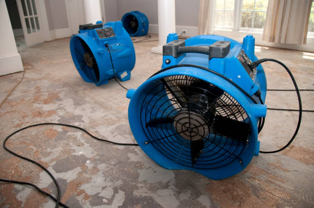 Best Sewage cleanup and water damage restoration  in Hillcrest, NY