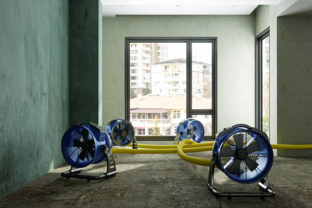 Best Carpet water damage restoration  in Hillcrest, NY